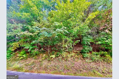 12 Cherokee Drive, Ellijay, GA 30540 - Photo 4