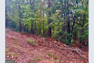 298 Etowah Drive, Ellijay, GA 30540 - Photo 8