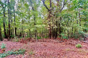 298 Etowah Dr, Ellijay, GA 30540 - Photo 1