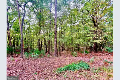 298 Etowah Drive, Ellijay, GA 30540 - Photo 4