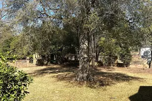 601 Engram St, Montezuma, GA 31063 - Photo 60