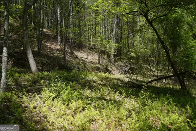 0 Rizzitello Lane, Blairsville, GA 30512 - Photo 12