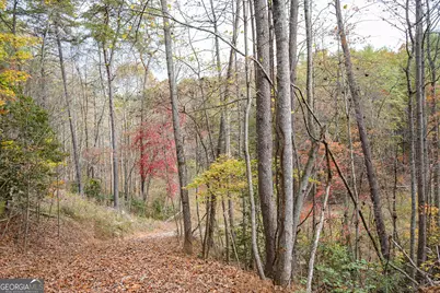 0 Rizzitello Lane, Blairsville, GA 30512 - Photo 14