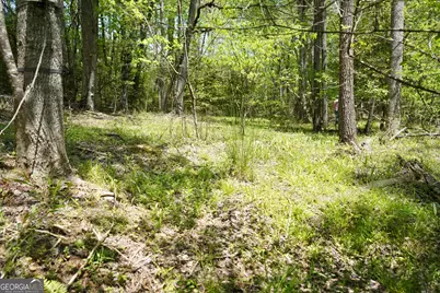 0 Rizzitello Lane, Blairsville, GA 30512 - Photo 10