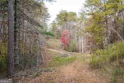 0 Rizzitello Lane, Blairsville, GA 30512 - Photo 16