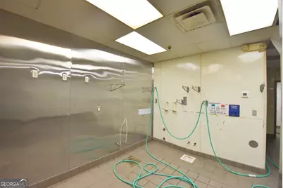 64 Carriage Oaks Drive, Tyrone, GA 30290 - Photo 30