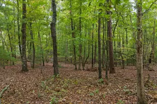 0 Rider Rd, Dawsonville, GA 30534 - Photo 1