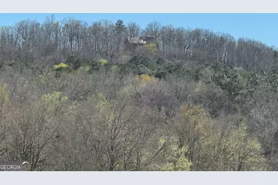 739 Barnes Mill Road, Hamilton, GA 31811 - Photo 90