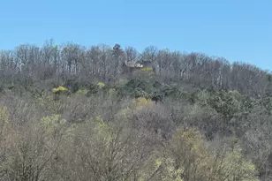 739 Barnes Mill Rd, Hamilton, GA 31811 - Photo 90