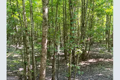 0 Booger Hollow Road, Rome, GA 30161 - Photo 20