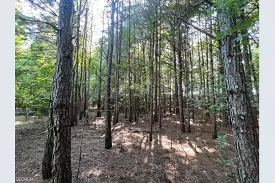 0 Booger Hollow Road, Rome, GA 30161 - Photo 28