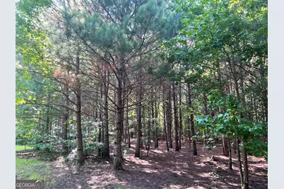 0 Booger Hollow Road, Rome, GA 30161 - Photo 24
