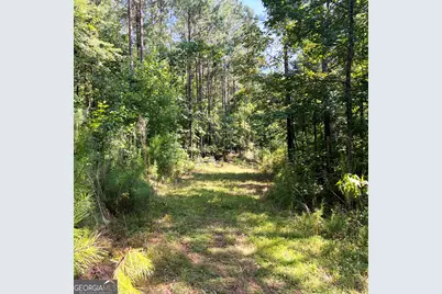 0 Booger Hollow Road, Rome, GA 30161 - Photo 12