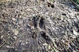 2477 Upper Big Springs Rd, Lagrange, GA 30241 - Photo 96