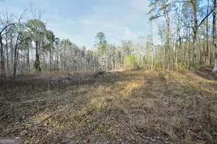 2477 Upper Big Springs Rd, Lagrange, GA 30241 - Photo 98