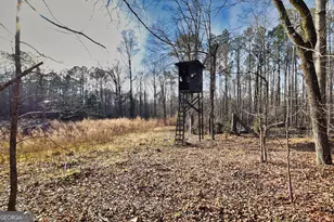 2477 Upper Big Springs Rd, Lagrange, GA 30241 - Photo 86