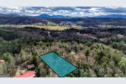 236 William Branch Road, Morganton, GA 30560 - Photo 42