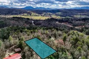 236 William Branch Rd, Morganton, GA 30560 - Photo 42