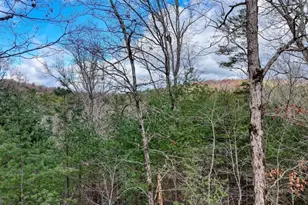 236 William Branch Rd, Morganton, GA 30560 - Photo 40