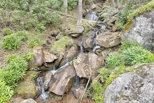 115 Dam Lake Dr, Dillard, GA 30537 - Photo 18