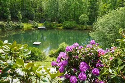 115 Dam Lake Drive, Dillard, GA 30537 - Photo 10