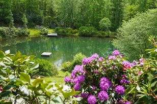 115 Dam Lake Dr, Dillard, GA 30537 - Photo 10