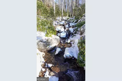 115 Dam Lake Drive, Dillard, GA 30537 - Photo 4