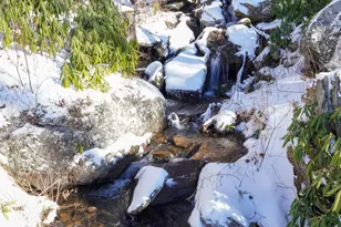 115 Dam Lake Dr, Dillard, GA 30537 - Photo 4