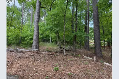 0 Hickory Pass, Sparta, GA 31087 - Photo 6