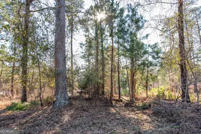 0 Hickory Pass, Sparta, GA 31087 - Photo 32