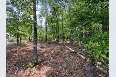 0 Hickory Pass, Sparta, GA 31087 - Photo 4