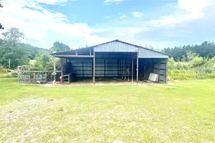 238 Wilson Woodard Rd, Eastman, GA 31023 - Photo 100