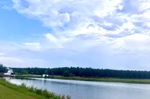 238 Wilson Woodard Rd, Eastman, GA 31023 - Photo 92