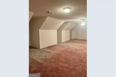 238 Wilson Woodard Road, Eastman, GA 31023 - Photo 76