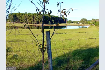 238 Wilson Woodard Road, Eastman, GA 31023 - Photo 104