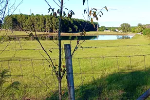 238 Wilson Woodard Rd, Eastman, GA 31023 - Photo 104