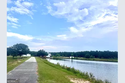 238 Wilson Woodard Road, Eastman, GA 31023 - Photo 94