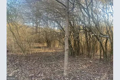 394 Sweetgrass Drive, Demorest, GA 30535 - Photo 2