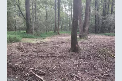 7001 Coatsworth Drive #LOT 1, Stockbridge, GA 30281 - Photo 28