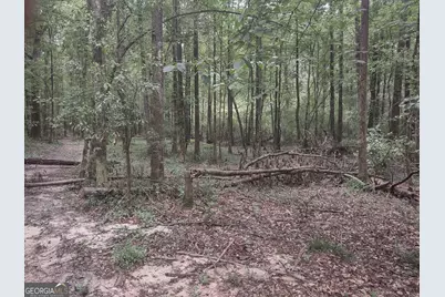 7001 Coatsworth Drive #LOT 1, Stockbridge, GA 30281 - Photo 24