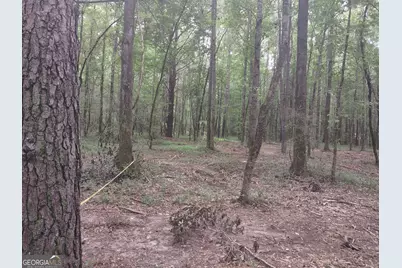 7001 Coatsworth Drive #LOT 1, Stockbridge, GA 30281 - Photo 26