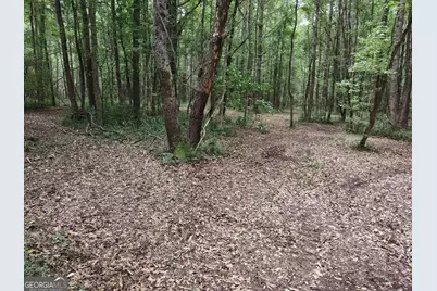 7001 Coatsworth Drive #LOT 1, Stockbridge, GA 30281 - Photo 4