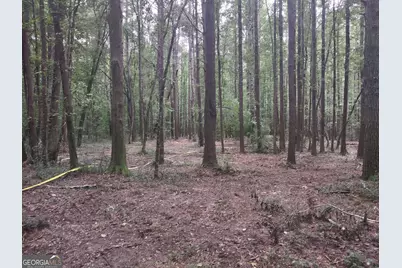 7001 Coatsworth Drive #LOT 1, Stockbridge, GA 30281 - Photo 36