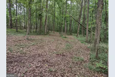 7001 Coatsworth Drive #LOT 1, Stockbridge, GA 30281 - Photo 10
