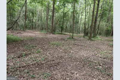 7001 Coatsworth Drive #LOT 1, Stockbridge, GA 30281 - Photo 12