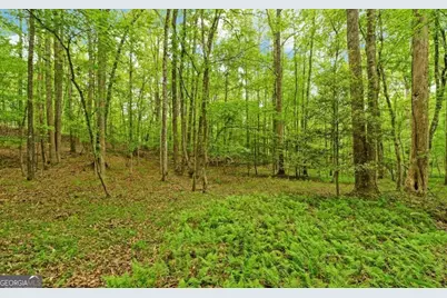 0 Honey Tree Terrace, Dahlonega, GA 30533 - Photo 22