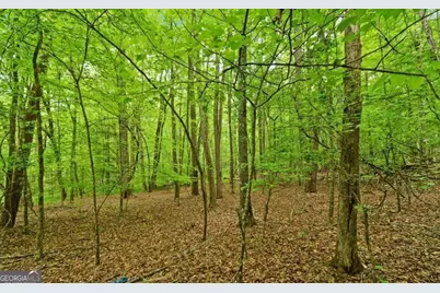 0 Honey Tree Terrace, Dahlonega, GA 30533 - Photo 10