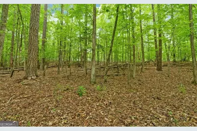 0 Honey Tree Terrace, Dahlonega, GA 30533 - Photo 12