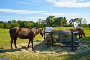 2223 Salem Rd, Watkinsville, GA 30677 - Photo 8