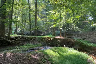 2223 Salem Rd, Watkinsville, GA 30677 - Photo 4